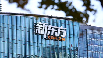 从致歉到上市 新东方与沪江的战略突围与行业反思